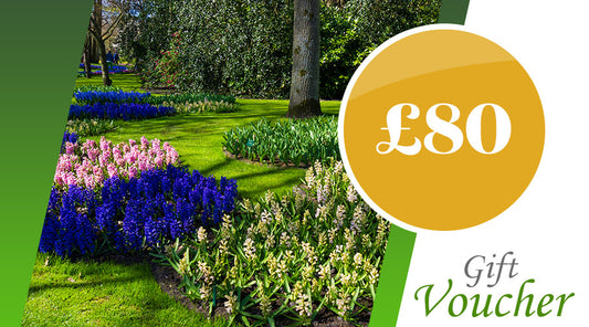 Find A Local Gardener £80 Gift Voucher